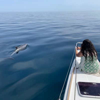 a bird flying over a body of water