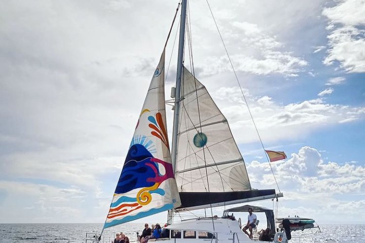 a catamaran with colorful sails up