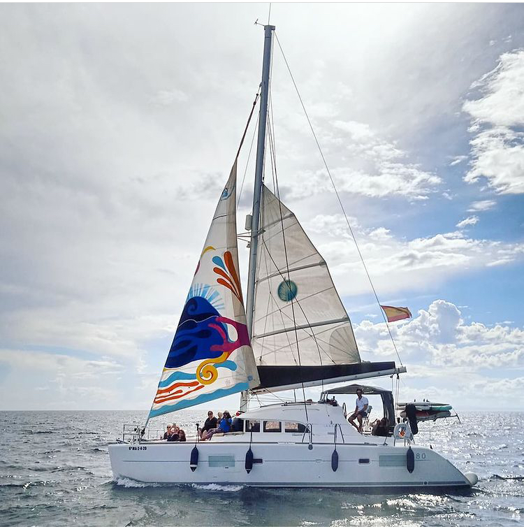 catamaran lagoon 380 DARIA a catamaran with colorful sails up