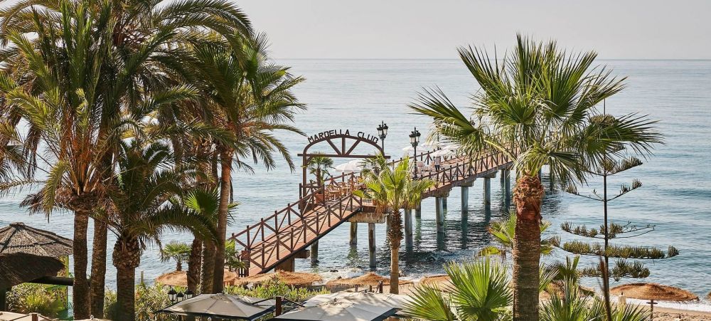 a bridge over a body of water next to a palm tree