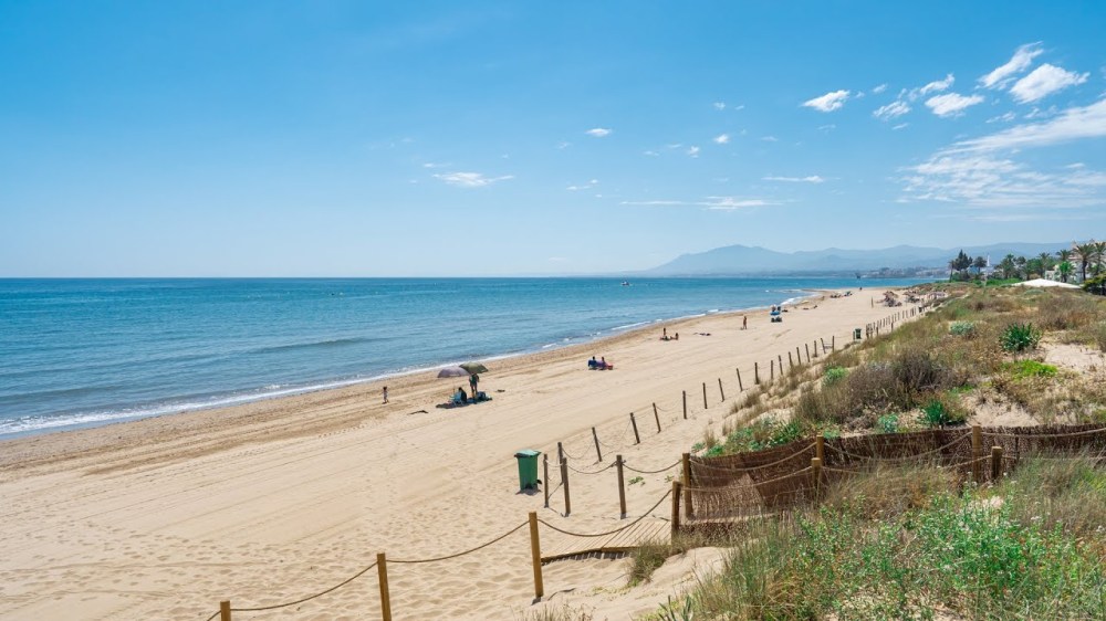 a group of people on a beach near a body of water