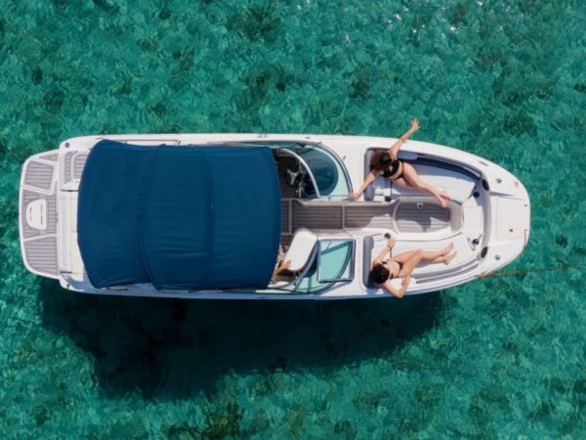 Aerial view of a white boat with a blue canopy on clear turquoise water.