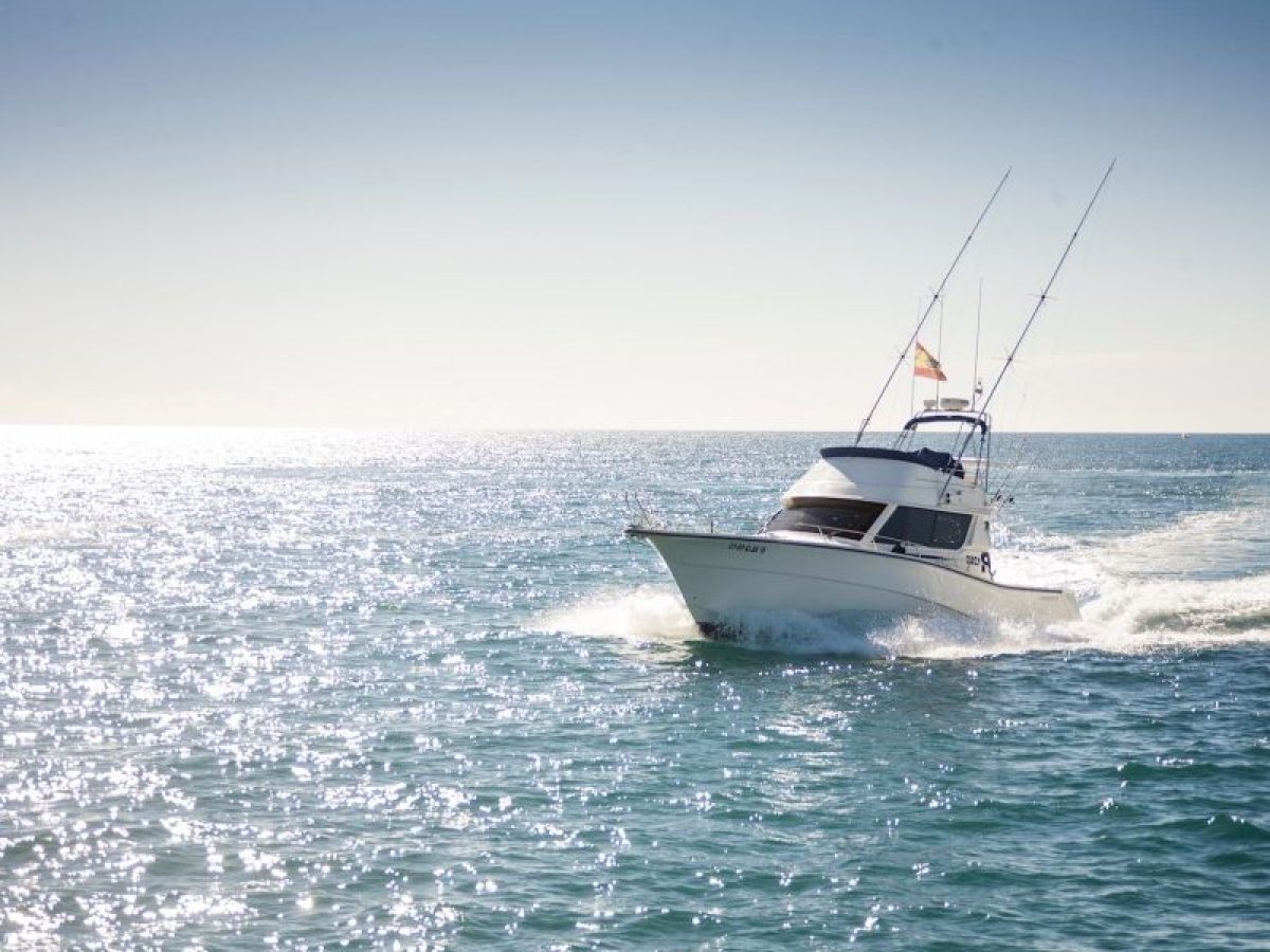 Boat with fishing rods on open water under clear sky, sun reflecting on waves.