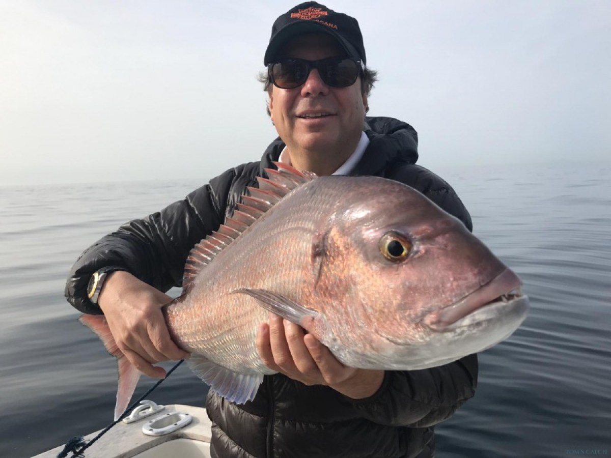 Person on a boat holding a large fish against a calm sea backdrop.