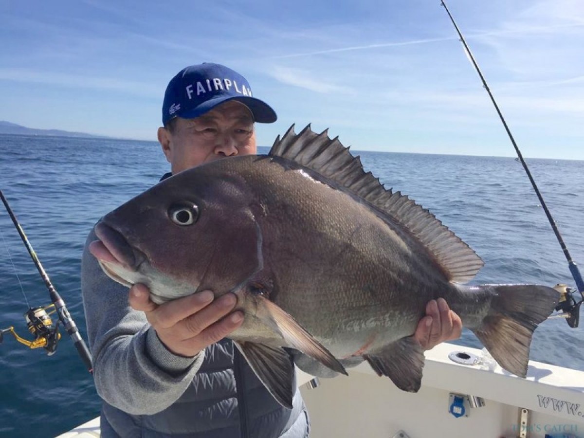 Person on a boat holding a large fish with the sea in the background.