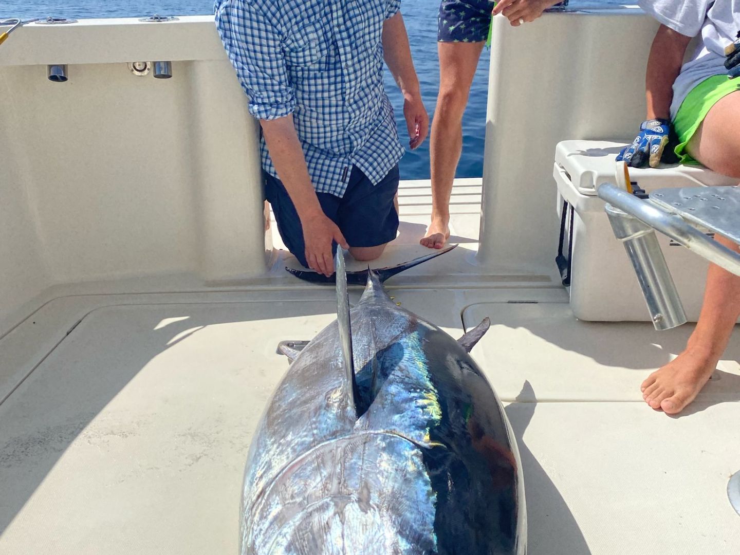 Two men on a boat with a large tuna lying on the deck in sunny weather.